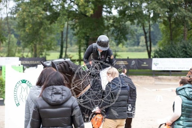 2B4A2550 | pixelfaenger - Realisiert mit Pictrs.com