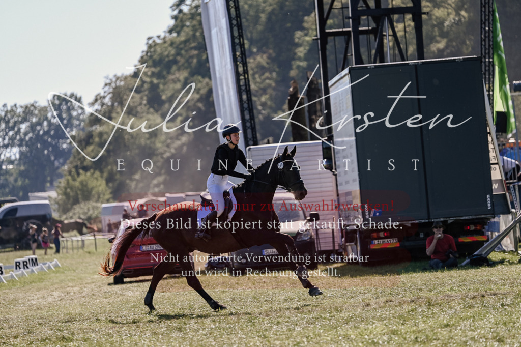 DSC_3404 | Pferde- und Turnierfotografie in Westsachsen. Pferdeportraits, Auftragszeichnungen und intuitive Kunst.