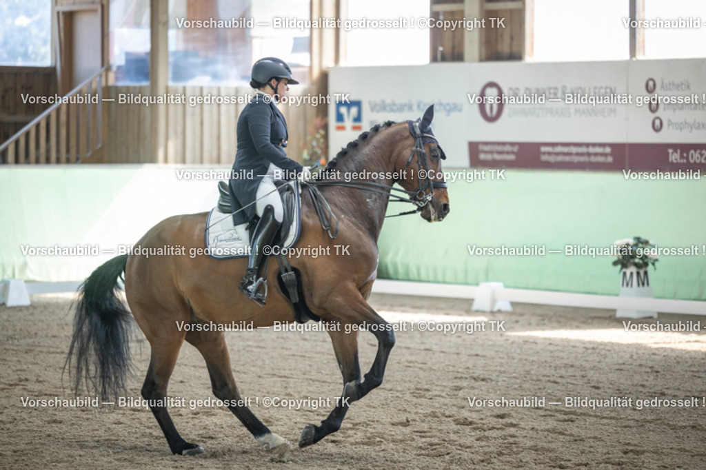 _D5A9310 | Emotionale Pferde- & People-Fotografie rund um Heidelberg, Leimen & Umgebung. Natürliche Fotos von Pferd, Mensch & Familie. Jetzt Termin sichern!