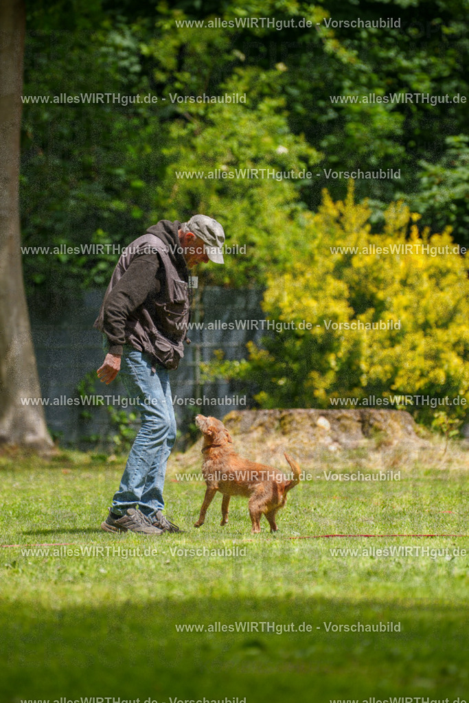 @allesWIRTHgut_Tierfotografie - www.allesWIRTHgut.de - 121830-7R508852 | Professionelle Tierfotografie in Mönchengladbach von Daniel Wirth (allesWIRTHgut). Liebevolle & natürliche Bilder von Hunden & Katzen für unvergessliche Erinnerungen.
