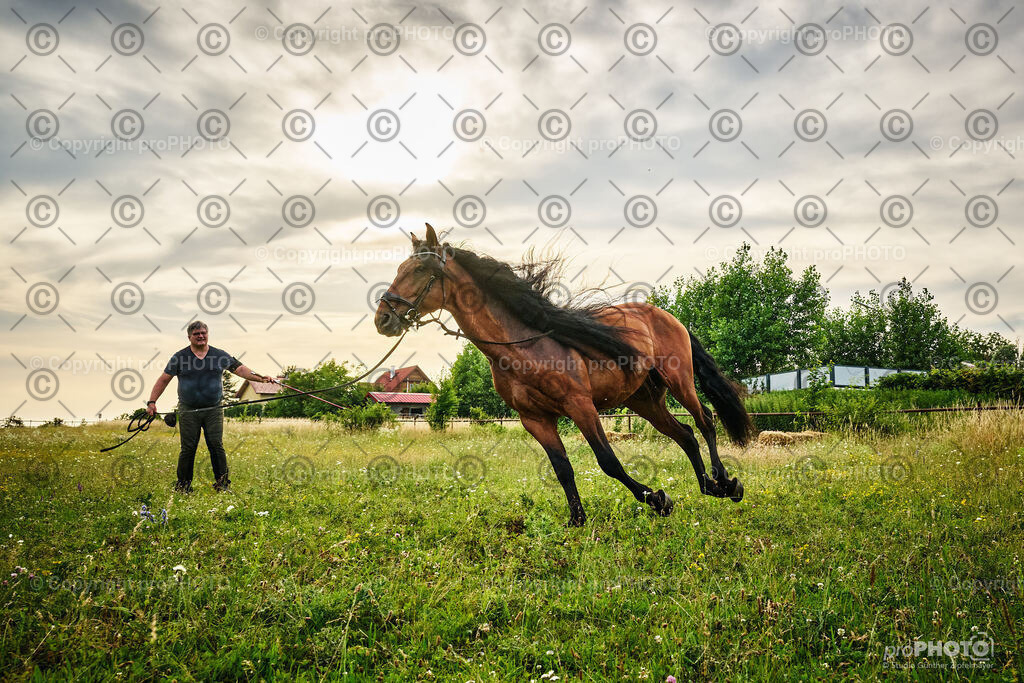 080_202406_Niki-Herodes_NZ9_9797 | proPHOTO - Realisiert mit Pictrs.com