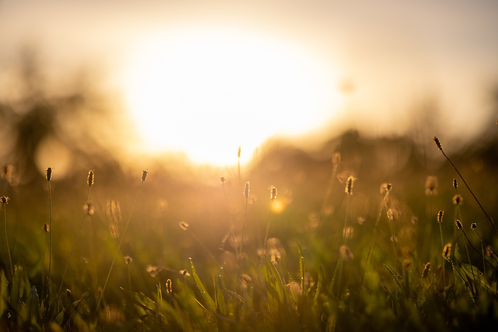 IMG_4789 | ehrlichefotos - Realisiert mit Pictrs.com