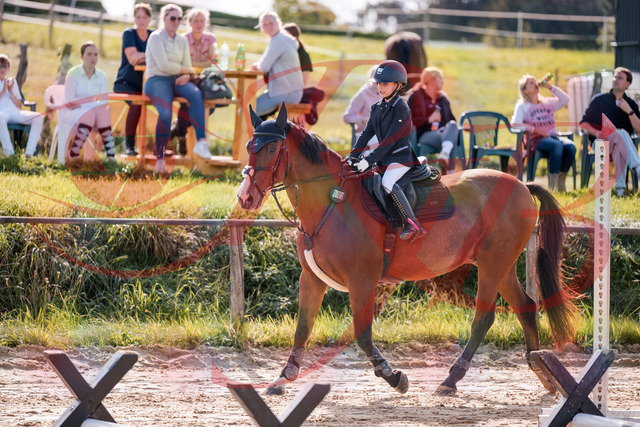 2026_10_03_Siefer-Hof_143833_Z81_09042981 | Professionelle Reitsport-, Turnier- und Eventfotografie von Robert Broda. Galerien mit ausgewählten und bearbeiteten Bildern direkt online ansehen und bestellen.