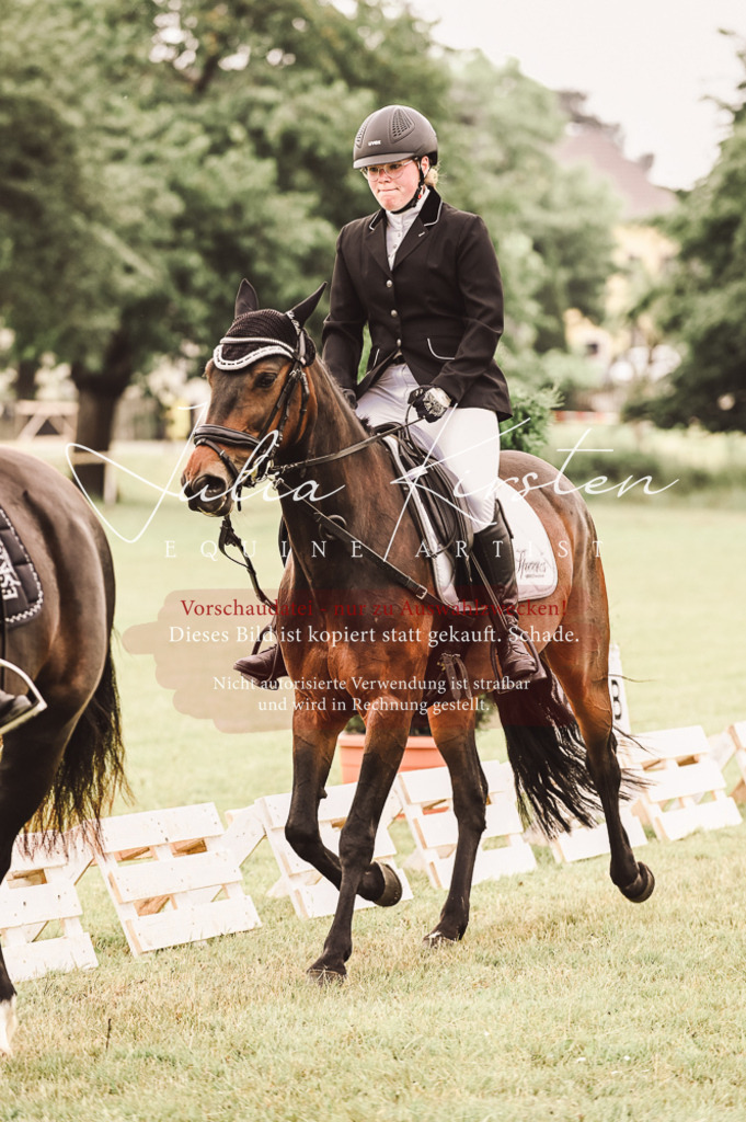 DSC_4921 | Pferde- und Turnierfotografie in Westsachsen. Pferdeportraits, Auftragszeichnungen und intuitive Kunst.