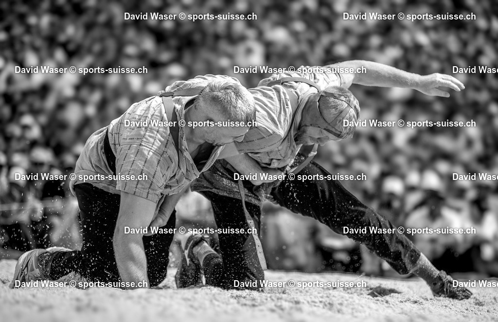 250817 Giger Samuel ___  - Roth Martin ___  _ la 25. Schwägalp-Schwinget AR_ 17.08.2025 _www.sports-suisse.ch_ (1) | 250817 Giger Samuel ***  - Roth Martin ***  à la 25. Schwägalp-Schwinget AR, 17.08.2025 "www.sports-suisse.ch"