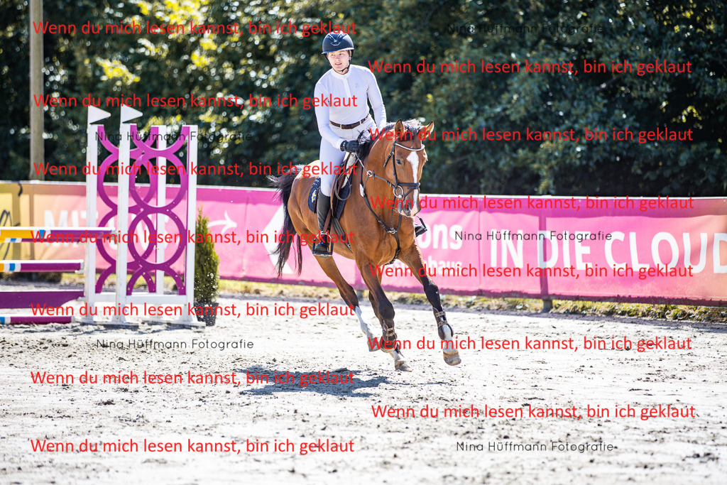 BK1A5278 | Turnierbilder Turnierfotos Nina Hüffmann Turnierfotografie Pferdefotografie Tierzeichnung Haustierzeichnung Pferdezeichnung Hundezeichnung Videograf  - Realisiert mit Pictrs.com