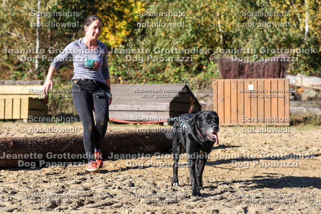 Dog Paparazzi - Strongdog 10-25-2236 | Dog Paparazzi Jeanette Grottendiek Fotografie & Videografie - Realisiert mit Pictrs.com