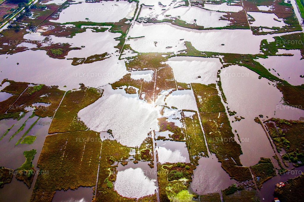 Aerial view: Ponds and marshes - water surface in a freshwater lagoon pond landscape in Massarosa in the state Lucca, Italy. – Photo: IMG_086972.jpg taken on 04/03/2016 by Werner Riehm/FLY-FOTO.com – Resolution of the original: 5472 x 3648 px