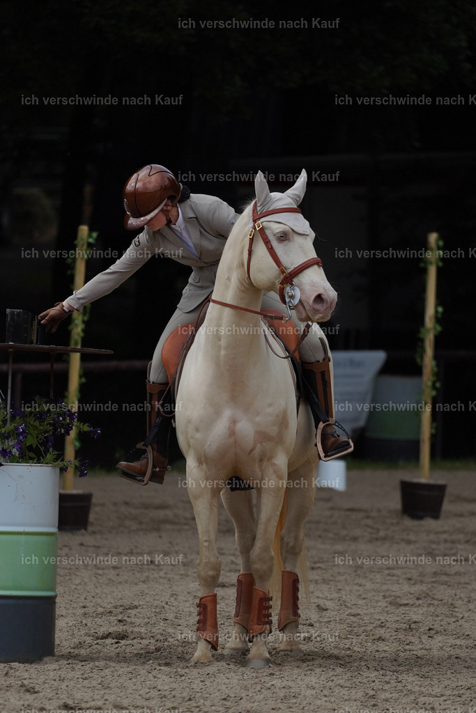 KlasseS_Lucie (55) | working equitationturnier fotograf videograf stoibphotography marixx film working equitation deutschland reitsport turnierfotografie eventfotografie equestrian events
