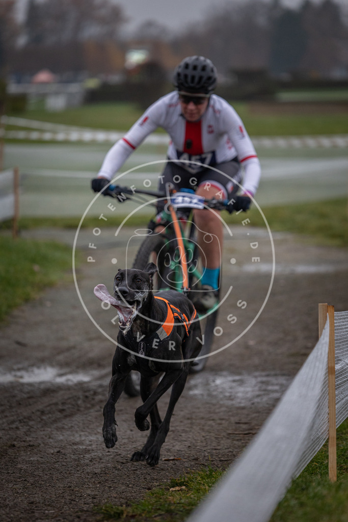 CaniXpix_0L8A1373 | Hundefotografie, Tierfotograf, Pfotenfotografie, Fotoshooting Hund, Hunde Portrait, Hundesport, Hundeportraits, Heideshooting, Hunde, Sportfotograf, Hundefotograf, Turnierhundsport, THS,  - Realisiert mit Pictrs.com
