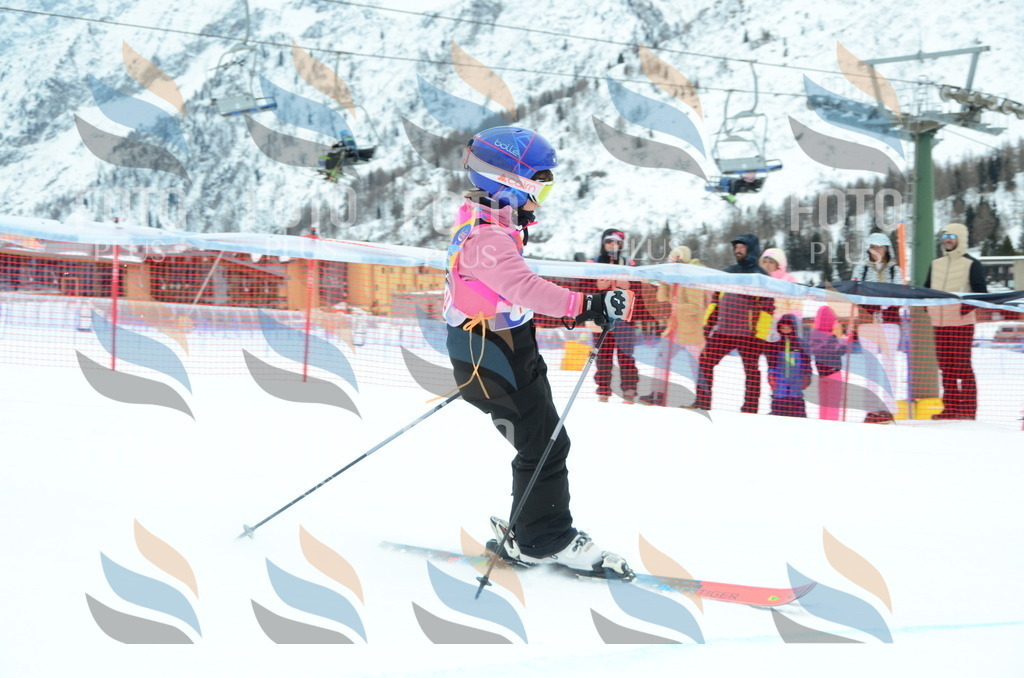 DSC_0734 | holidayphoto