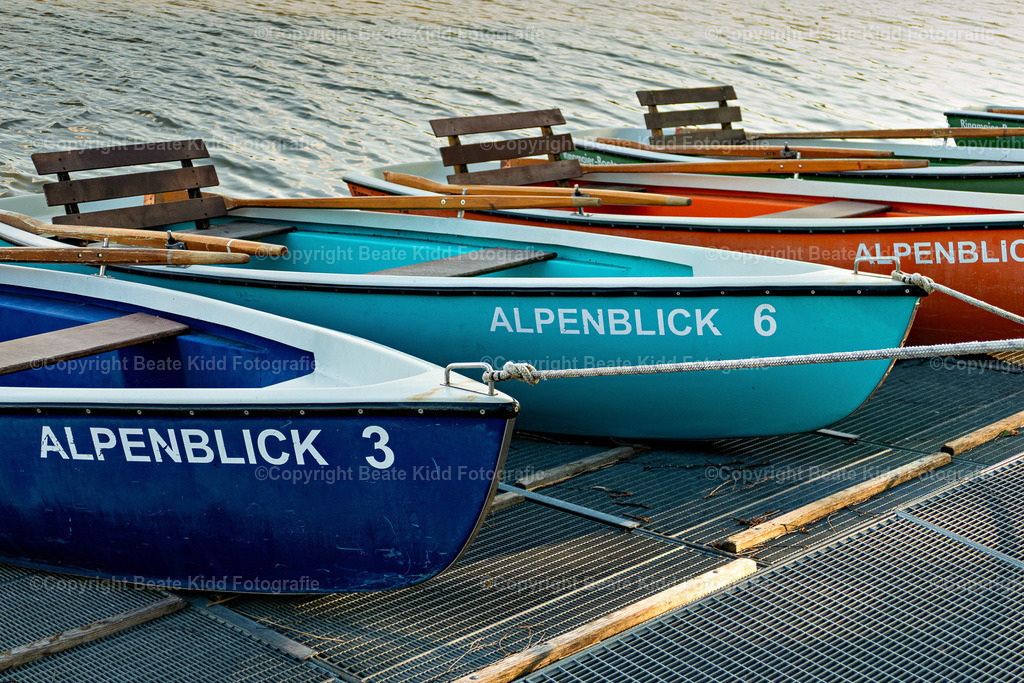 P1780053 | beatekidd-fotografie - Realisiert mit Pictrs.com