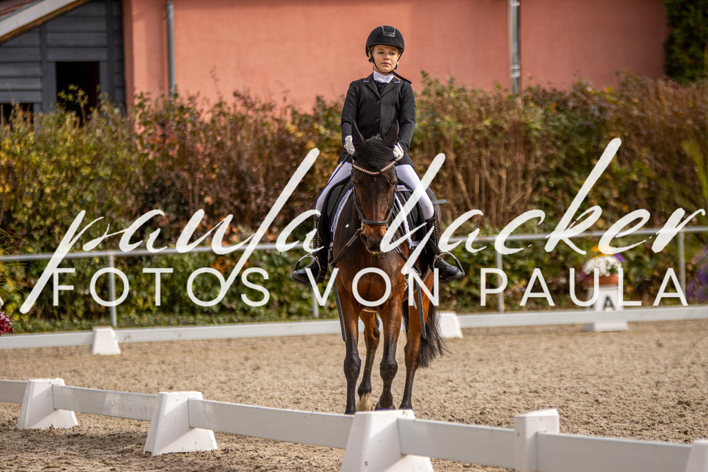 IMG_3792 | Erleben Sie dynamische Sport- und emotionale Tierfotografie in Süddeutschland mit Fotos von Paula. Spezialisiert auf Pferde- und Hundefotografie sowie Sportevents. Kontaktieren Sie mich für einzigartige und ausdrucksstarke Bilder Ihrer besonderen Momente. - Realisiert mit Pictrs.com