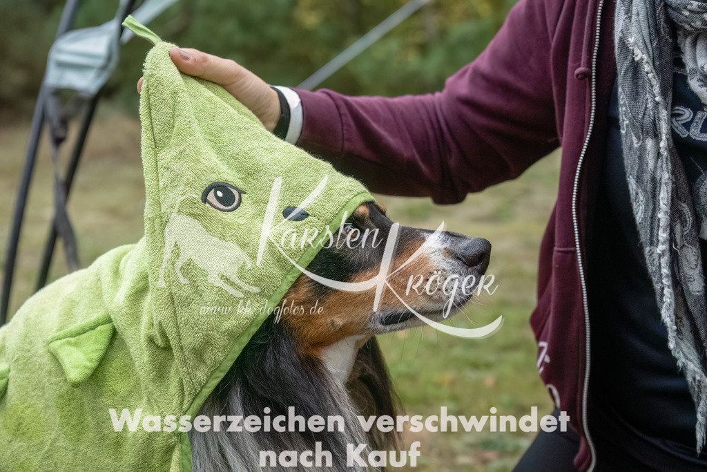 0954_ZZ91041-Bearbeitet | kk-dogfotos