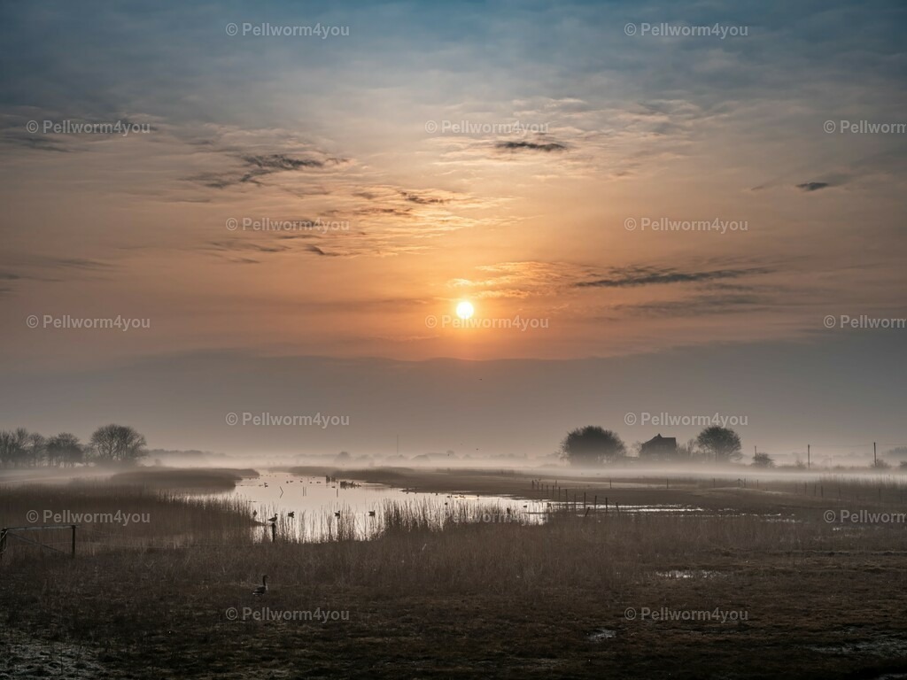 pellworm-kalender-2024-13-denoise-enhance-2x-sharpen | Pellwormer Bilder und Fotos als Poster, auf Leinwand mit Keilrahmen, hinter Acrylglas, auf Alu-Dibond oder Forex-Platte und vieles mehr. Zum verschenken, für die Ferienwohnung oder für zu Hause. - Realisiert mit Pictrs.com