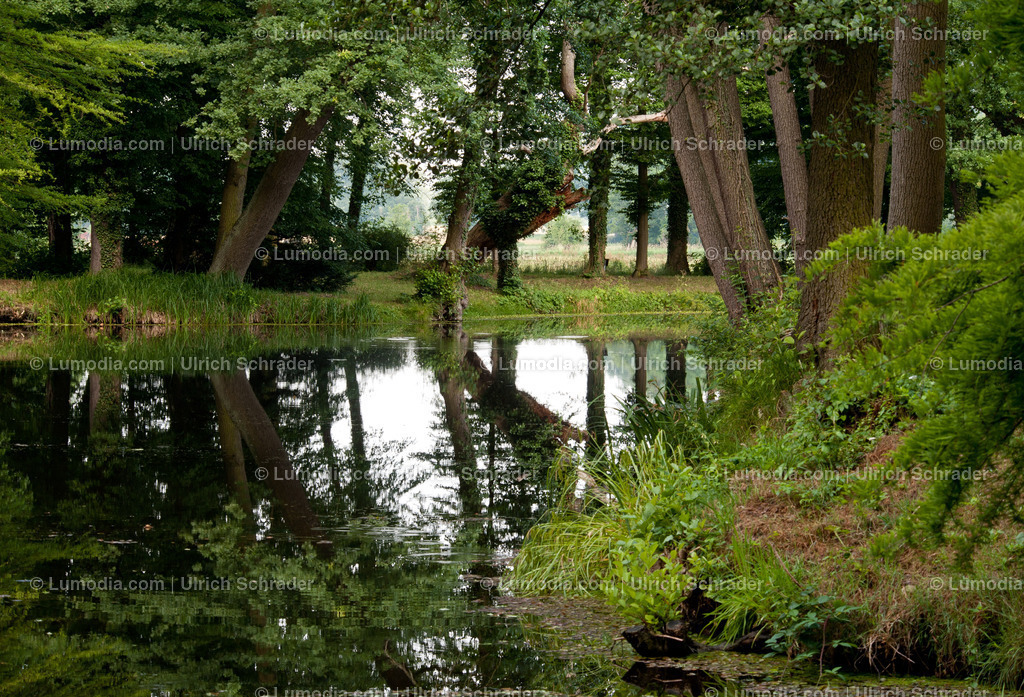 100494-4263 - Schlosspark Krumke | Stockfoto und Bilderpool mit Bildmaterial aus Deutschland, dem Harz, Halberstadt, Quedlinburg, Wernigerode und weltweit. Qualitativ hochwertige und professionelle Fotos anschauen und kaufen. - Realisiert mit Pictrs.com