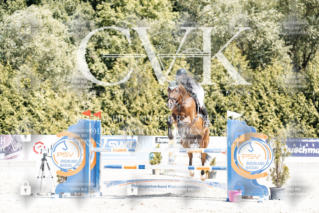 CK900290 | Turnierfotografie Pferdefotografie Trier Rheinland-Pfalz Pferdesport Reitsport Tierfotografie Sportfotografie Pferdevideo Pferdevideografie Equestrianvideography equestrianphotography  - Realisiert mit Pictrs.com