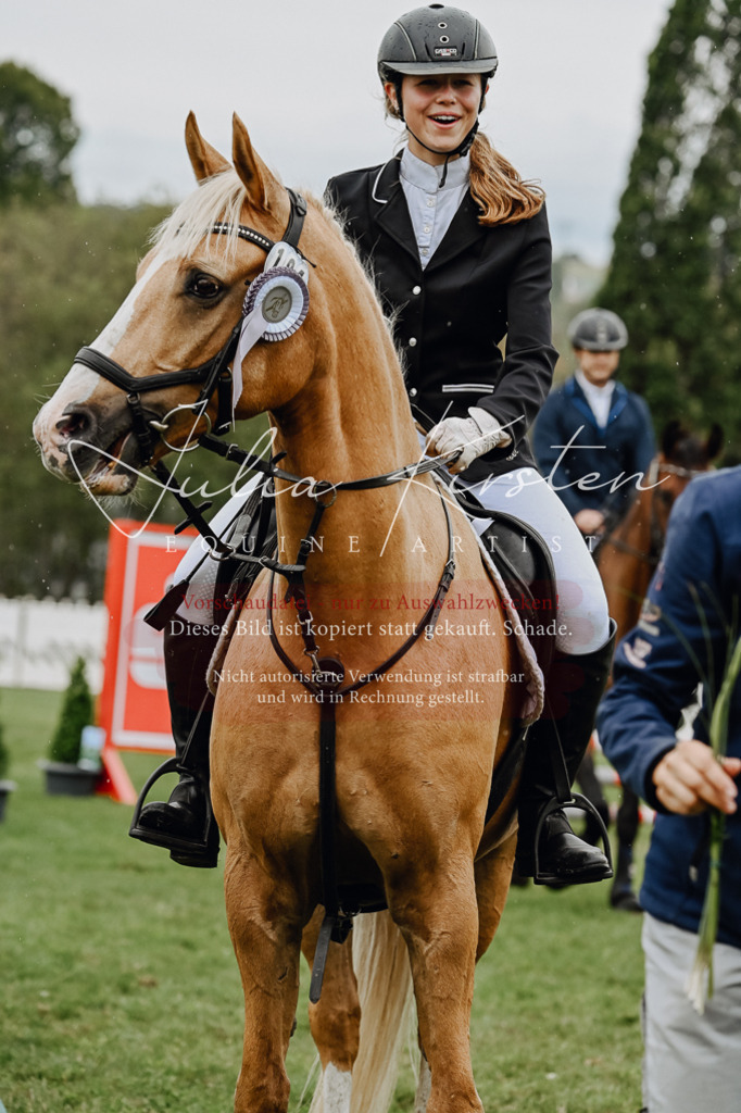 DSC_7101 | Pferde- und Turnierfotografie in Westsachsen. Pferdeportraits, Auftragszeichnungen und intuitive Kunst.