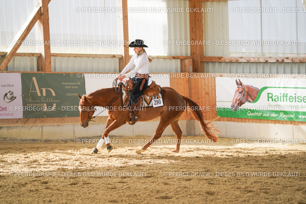 DSC06064 | Pferdegrafie