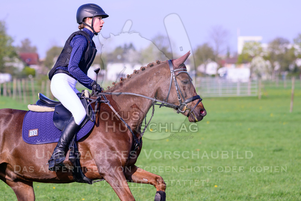 18042026-Gernlinden-02-0422 | Fokus Hufschlag Fotografie - Realisiert mit Pictrs.com