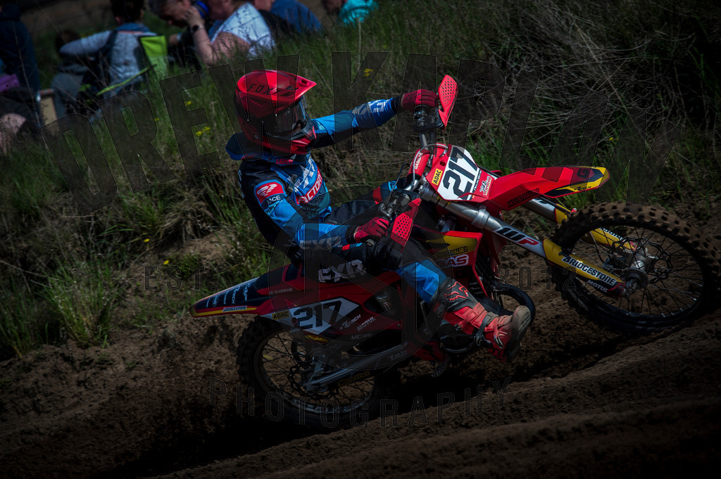 DKP-8408 | Drew Kaplan Photography