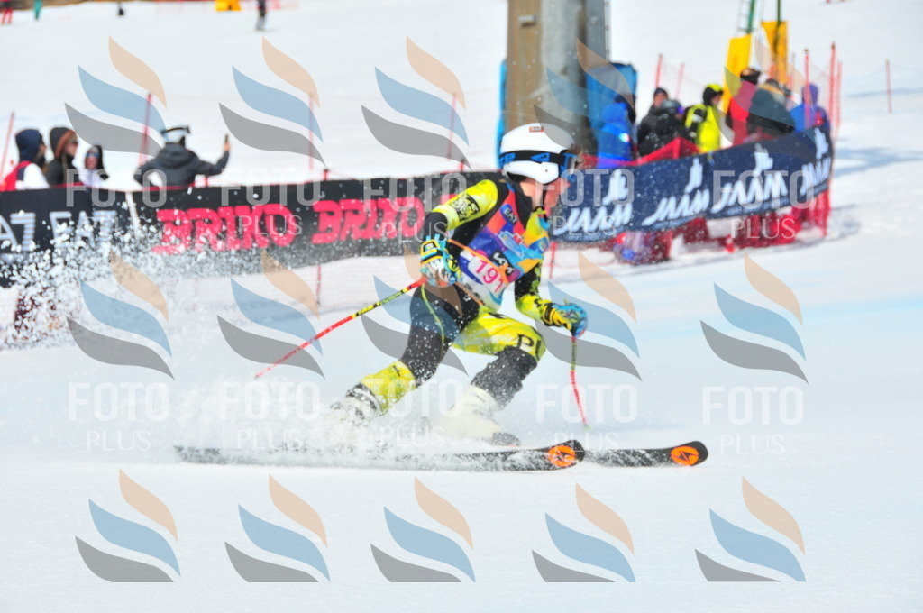 DSC_5482 | holidayphoto