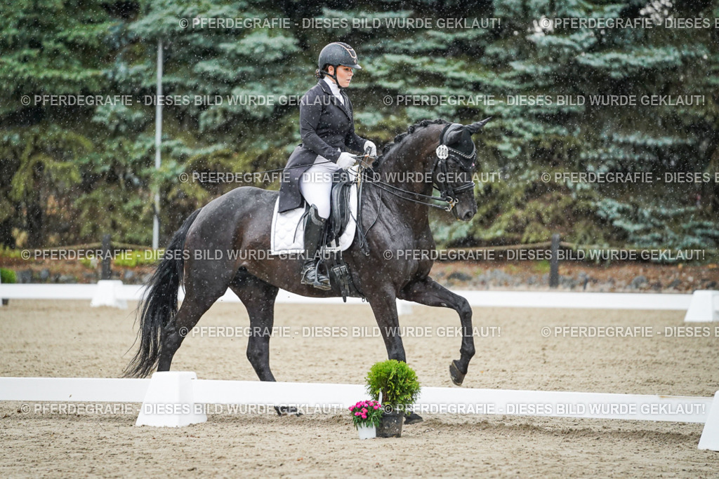 DSC08252 | Pferdegrafie