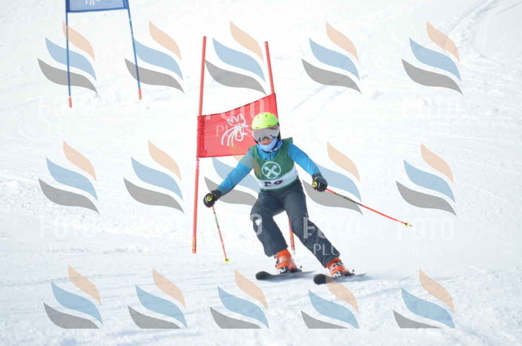 D8812 | holidayphoto