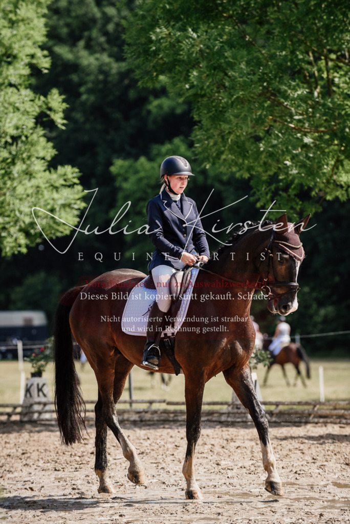 DSC_0132 | Pferde- und Turnierfotografie in Westsachsen. Pferdeportraits, Auftragszeichnungen und intuitive Kunst.