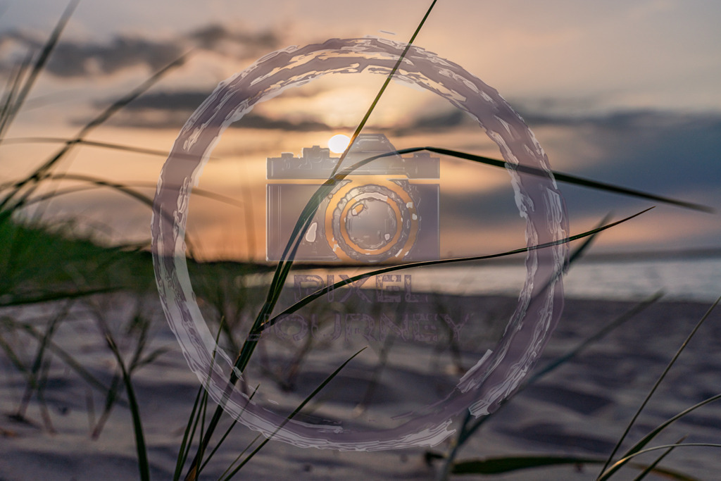Sunset_Rügen_Schilf3 | Fotograf, Fotografin, Portraitfotograf, Kunstfotograf, Fotoshop Fineart, Fotoshop Kunstfotografie, Fotos kaufen, Pixeljourney, Doreen Riedel, Natur, Tiere, Architektur, Kunst, Makro - Realisiert mit Pictrs.com