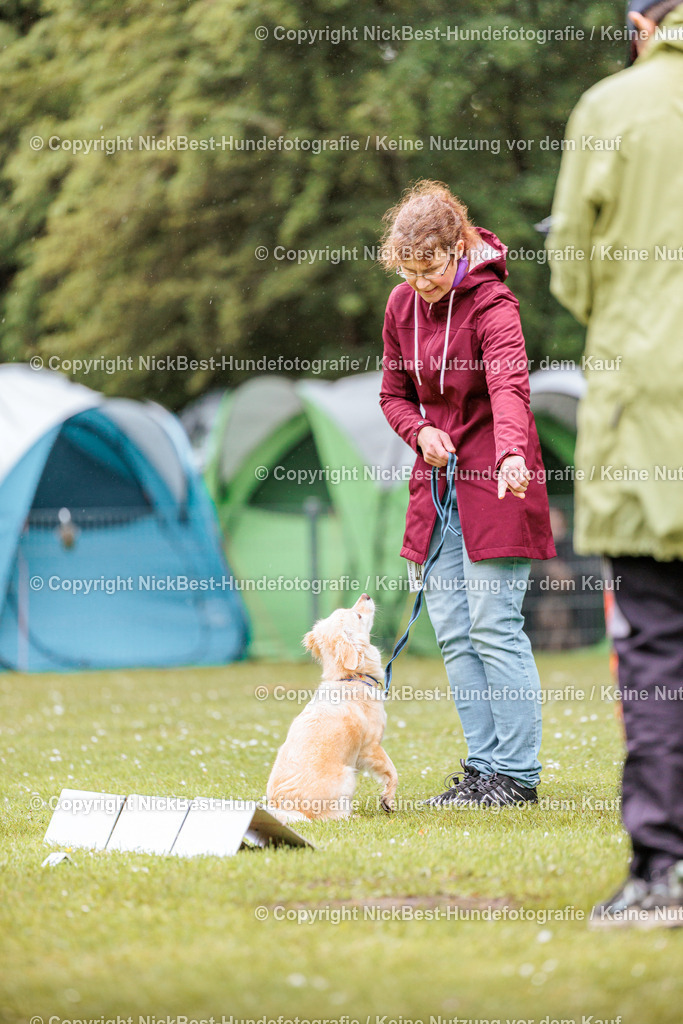 RO-Blumenthal-2026-Nickbest-Hundefotografie-0643 | Dein Hund! Dein Moment! Deine Erinnerungen! Hundefotografie in Bremen Blumenthal. Ich fange die besonderen Momente deines Vierbeiners ein – ob Indoor mit Blitzanlage oder in der freien Natur. Sicher dir dein Moment und dein Termin für eure Erinnerungen.