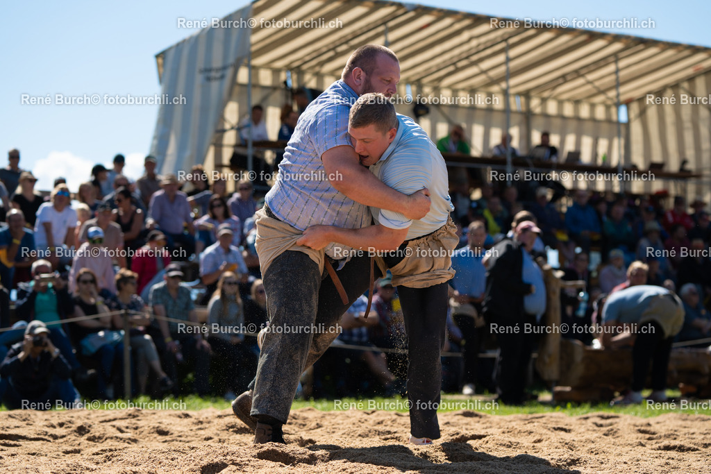 DSC08730 | René Burch leidenschaftlicher Fotograf aus Kerns in Obwalden.  Hier finden sie Sport, Landschaft und Natur Fotografie.
 - Realisiert mit Pictrs.com