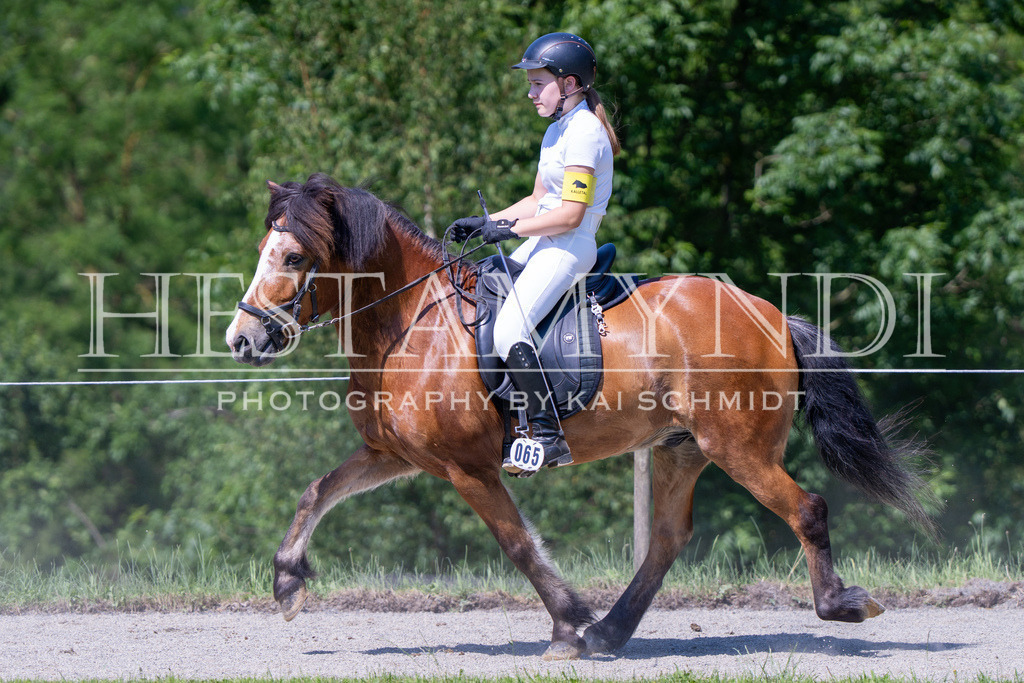 KAI05277 | Ihr sucht einen Fotografen für eure nächste OSI? Ich begleite auch euer Turnier für Islandpferde fotografisch.  - Realisiert mit Pictrs.com