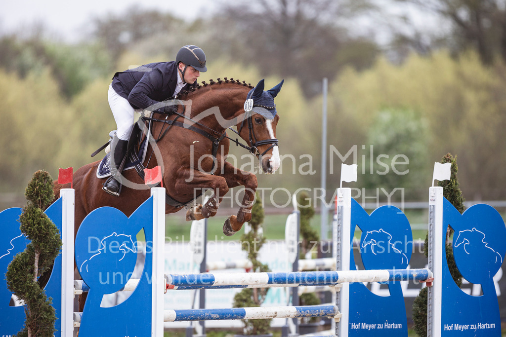 250417_Springpferde-L1-239 | Deine schönsten Turniermomente als professionelle Fotos! Entdecke hochwertige Pferdesport-Fotografie im Online-Shop. Jetzt Fotos finden & bestellen!