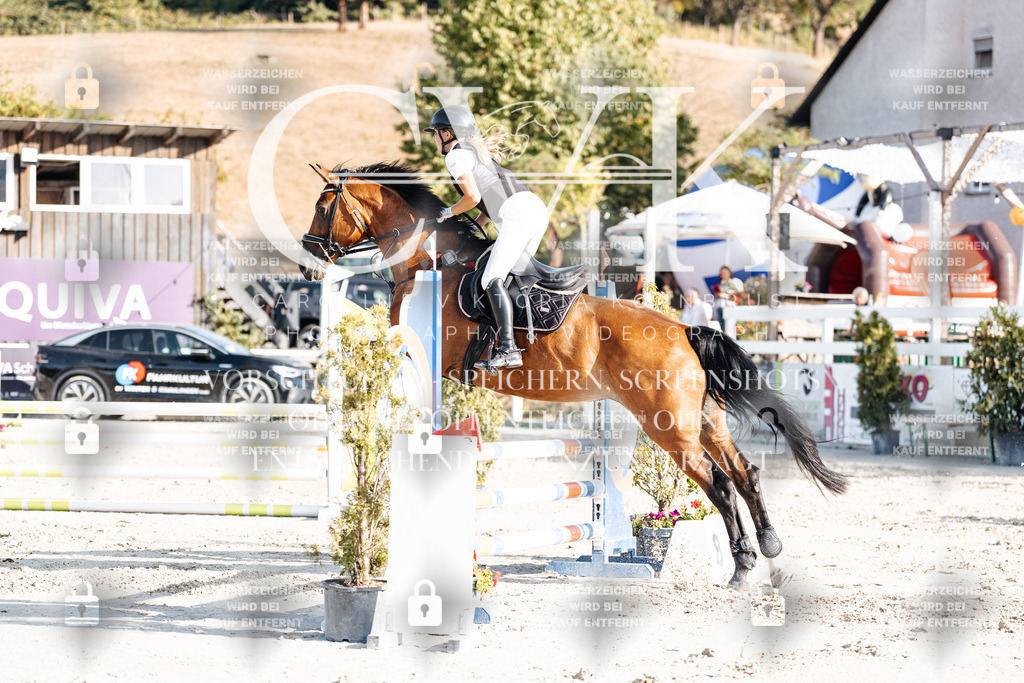 CK909642 | Turnierfotografie Pferdefotografie Trier Rheinland-Pfalz Pferdesport Reitsport Tierfotografie Sportfotografie Pferdevideo Pferdevideografie Equestrianvideography equestrianphotography  - Realisiert mit Pictrs.com