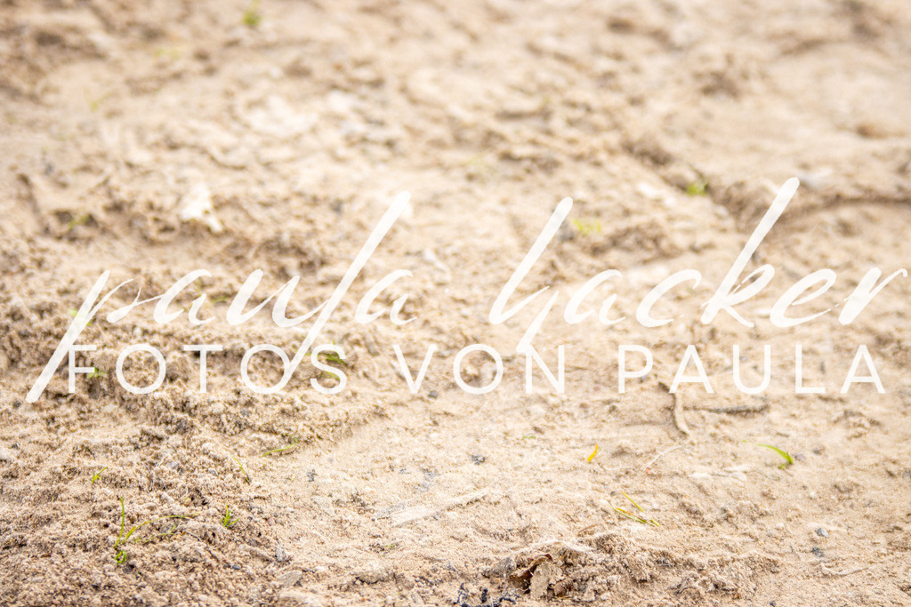 IMG_3130 | Erleben Sie dynamische Sport- und emotionale Tierfotografie in Süddeutschland mit Fotos von Paula. Spezialisiert auf Pferde- und Hundefotografie sowie Sportevents. Kontaktieren Sie mich für einzigartige und ausdrucksstarke Bilder Ihrer besonderen Momente.