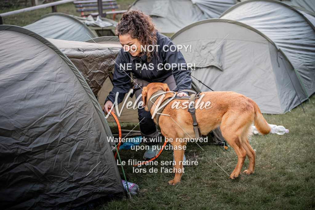 6Z1A1747 | nelerasche