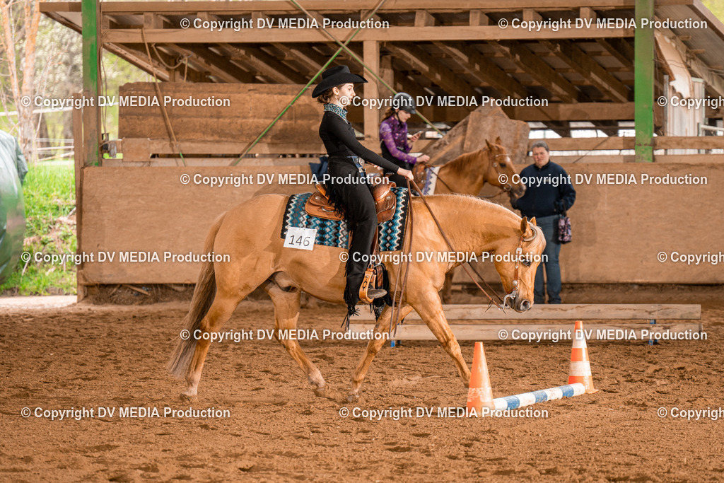 BAL00683 | dv-media-shop - Realisiert mit Pictrs.com