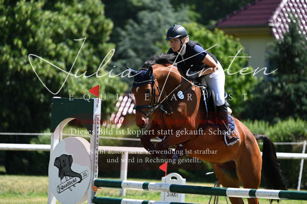 DSC_0622 | Pferde- und Turnierfotografie in Westsachsen. Pferdeportraits, Auftragszeichnungen und intuitive Kunst.