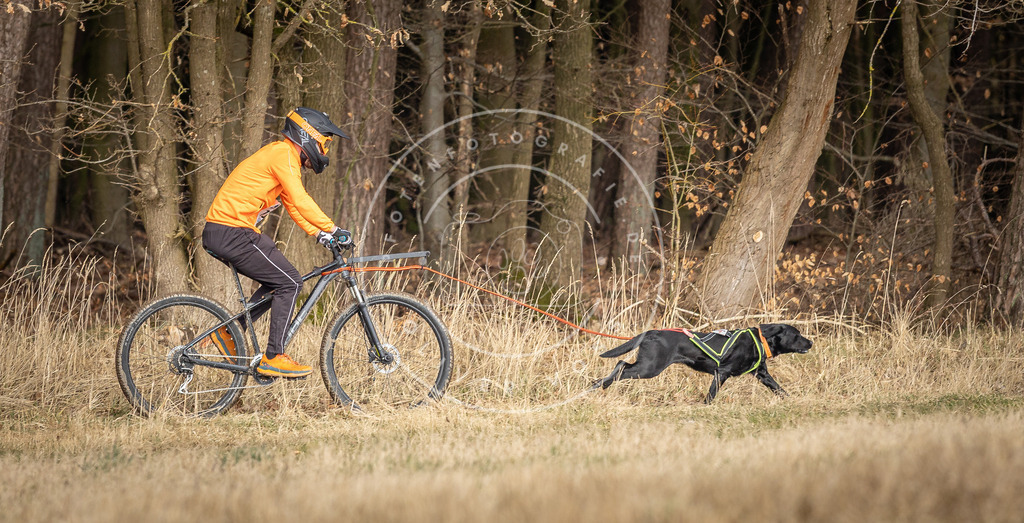 DV3A4897 | Hundefotografie, Tierfotograf, Pfotenfotografie, Fotoshooting Hund, Hunde Portrait, Hundesport, Hundeportraits, Heideshooting, Hunde, Sportfotograf, Hundefotograf, Turnierhundsport, THS,  - Realisiert mit Pictrs.com
