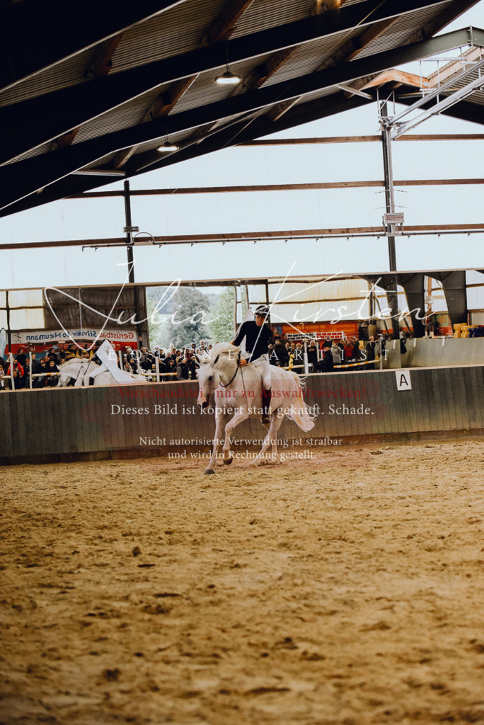 DSC_6992 | Pferde- und Turnierfotografie in Westsachsen. Pferdeportraits, Auftragszeichnungen und intuitive Kunst.