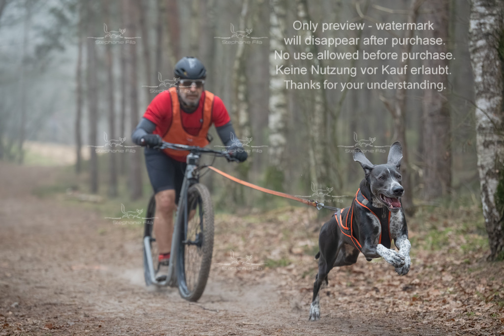 Scooter1-30 | stephaniefillaphotographie - Realisiert mit Pictrs.com