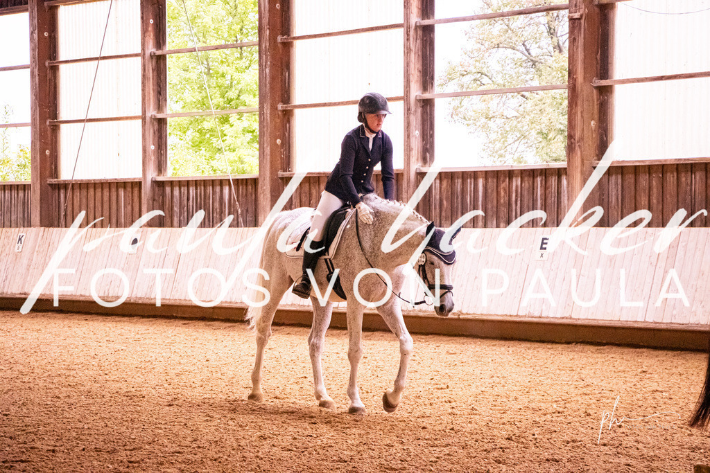 IMG_9941 | Erleben Sie dynamische Sport- und emotionale Tierfotografie in Süddeutschland mit Fotos von Paula. Spezialisiert auf Pferde- und Hundefotografie sowie Sportevents. Kontaktieren Sie mich für einzigartige und ausdrucksstarke Bilder Ihrer besonderen Momente. - Realisiert mit Pictrs.com