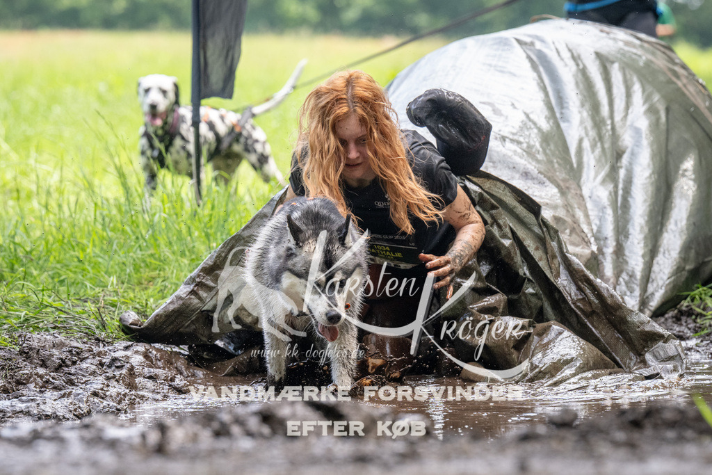 1138_ZZ93431 | kk-dogfotos