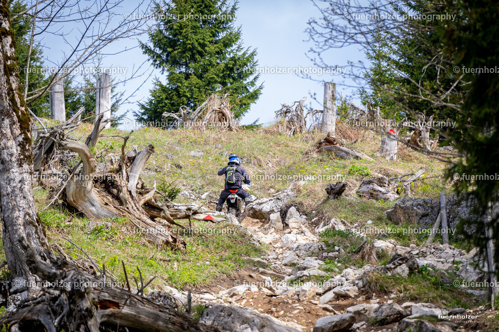 fuernholzer_240501-C2-24 | © Christian Fuernholzer (fuernholzer photography)