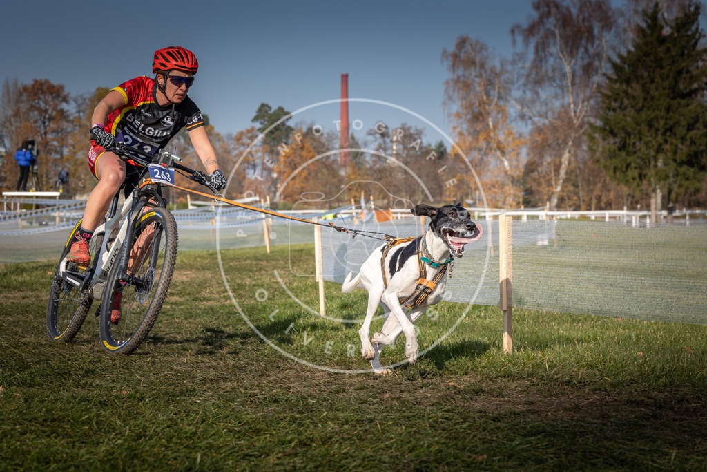 CaniXpix_0L8A7175 | Hundefotografie, Tierfotograf, Pfotenfotografie, Fotoshooting Hund, Hunde Portrait, Hundesport, Hundeportraits, Heideshooting, Hunde, Sportfotograf, Hundefotograf, Turnierhundsport, THS,  - Realisiert mit Pictrs.com