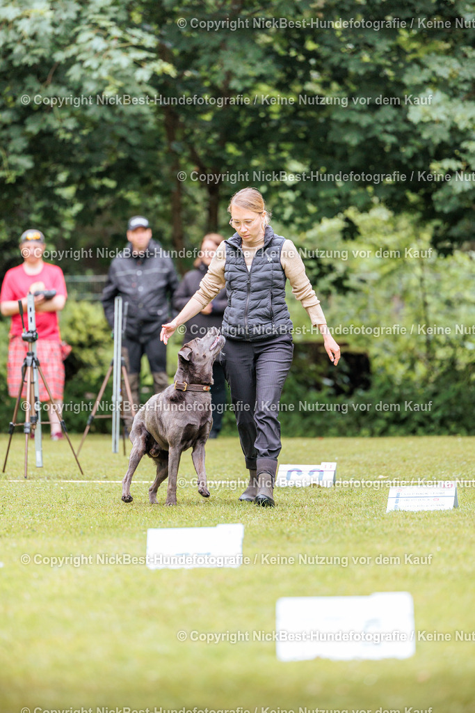 RO-Blumenthal-2026-Nickbest-Hundefotografie-1066 | Dein Hund! Dein Moment! Deine Erinnerungen! Hundefotografie in Bremen Blumenthal. Ich fange die besonderen Momente deines Vierbeiners ein – ob Indoor mit Blitzanlage oder in der freien Natur. Sicher dir dein Moment und dein Termin für eure Erinnerungen.