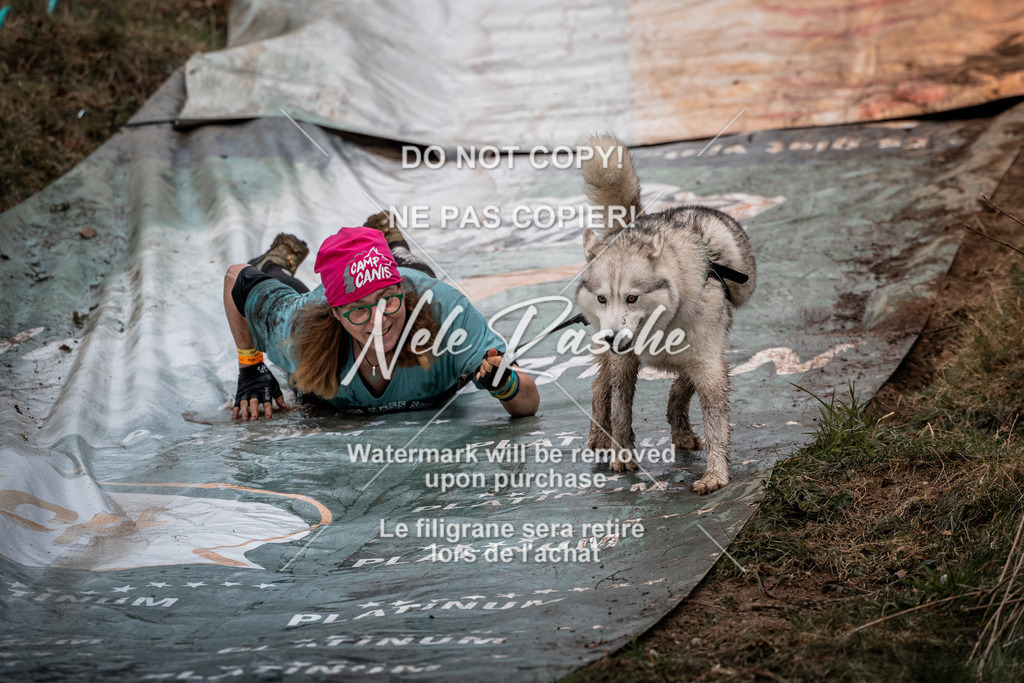 nelerasche_1330-1400_41 | nelerasche