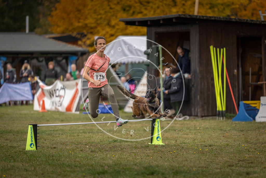 Pfotenfotografie_DV3A7344 | Hundefotografie, Tierfotograf, Pfotenfotografie, Fotoshooting Hund, Hunde Portrait, Hundesport, Hundeportraits, Heideshooting, Hunde, Sportfotograf, Hundefotograf, Turnierhundsport, THS,  - Realisiert mit Pictrs.com