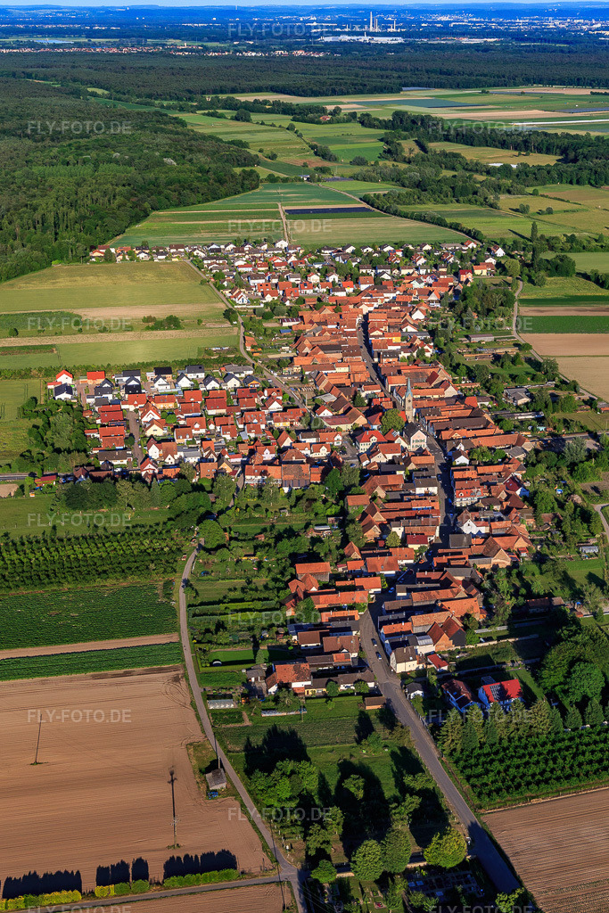 Luftbild: Dorfansicht von Nordwesten in Erlenbach bei Kandel im Bundesland Rheinland-Pfalz in Deutschland. Foto: IMG_115084.jpg vom 13.06.2019 durch Werner Riehm/FLY-FOTO.de